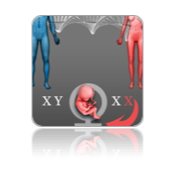 collage image title